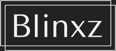 Blinxz logo